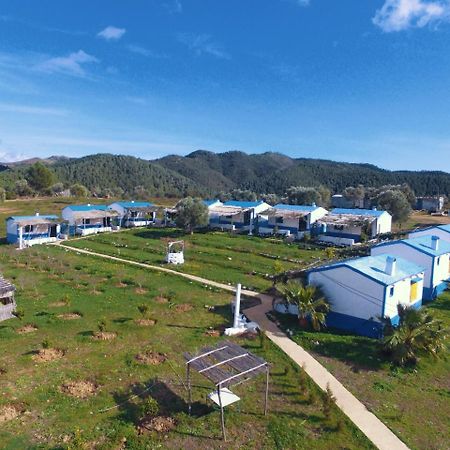 Ferma Jebala Ecolodge Kitane 외부 사진