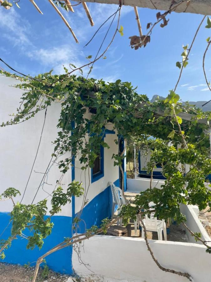 Ferma Jebala Ecolodge Kitane 외부 사진