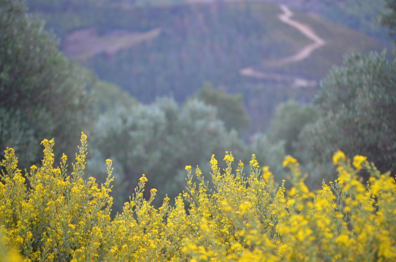Ferma Jebala Ecolodge Kitane 외부 사진