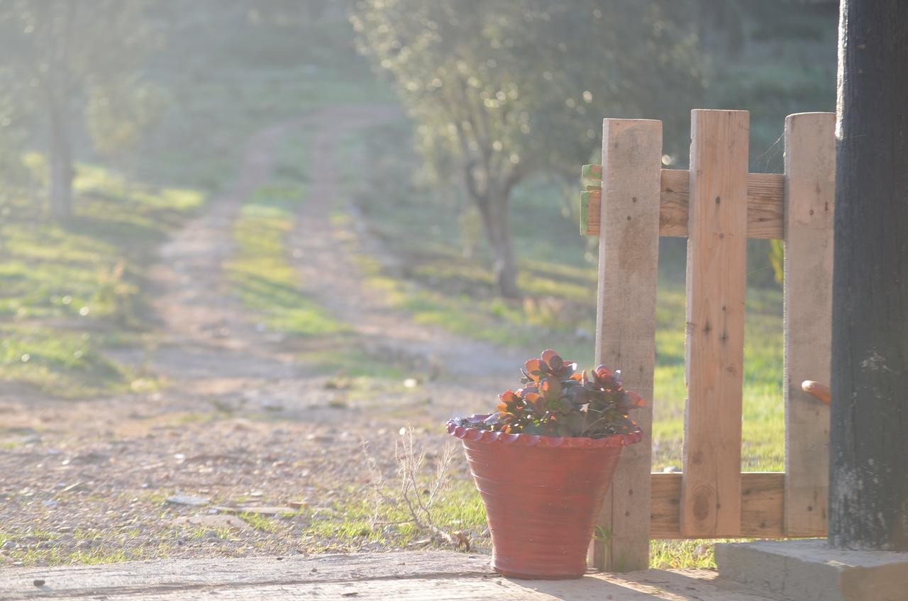 Ferma Jebala Ecolodge Kitane 외부 사진