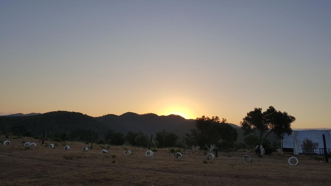 Ferma Jebala Ecolodge Kitane 외부 사진