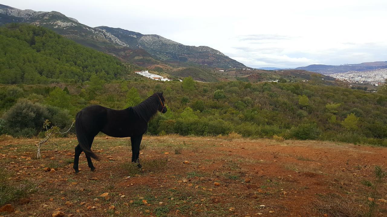 Ferma Jebala Ecolodge Kitane 외부 사진