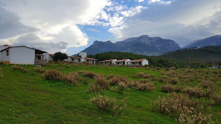 Ferma Jebala Ecolodge Kitane 외부 사진