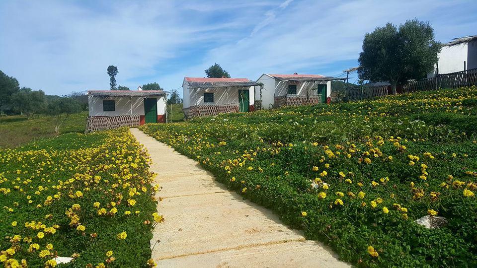 Ferma Jebala Ecolodge Kitane 외부 사진