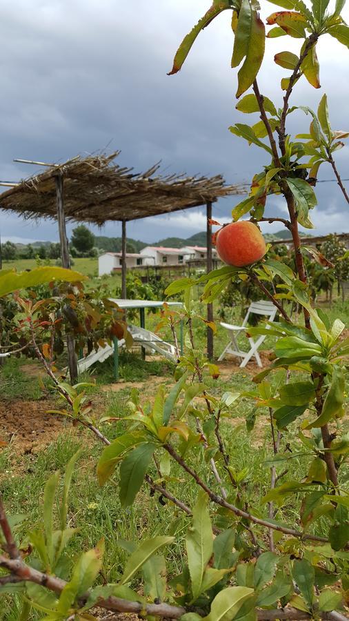 Ferma Jebala Ecolodge Kitane 외부 사진
