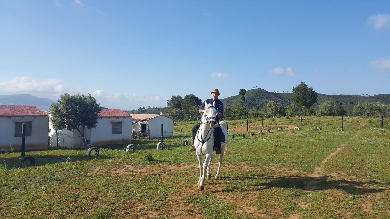 Ferma Jebala Ecolodge Kitane 외부 사진