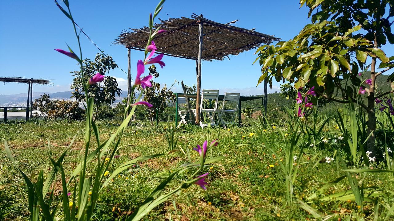 Ferma Jebala Ecolodge Kitane 외부 사진