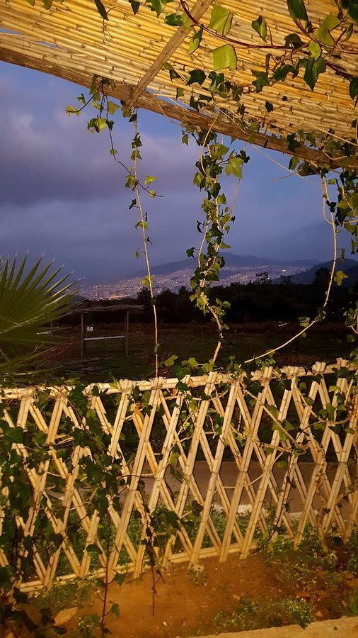 Ferma Jebala Ecolodge Kitane 외부 사진