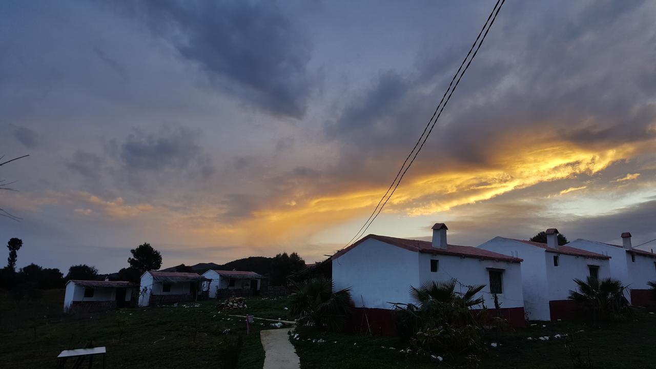 Ferma Jebala Ecolodge Kitane 객실 사진