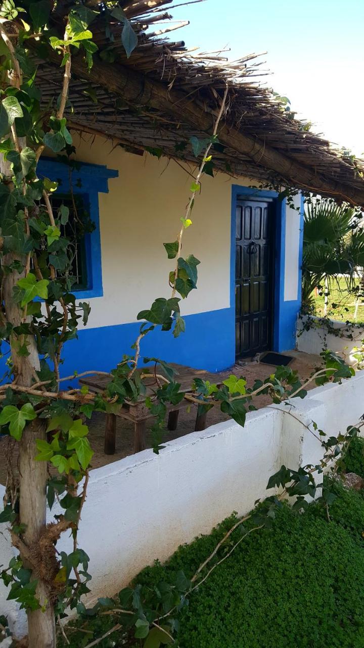 Ferma Jebala Ecolodge Kitane 외부 사진