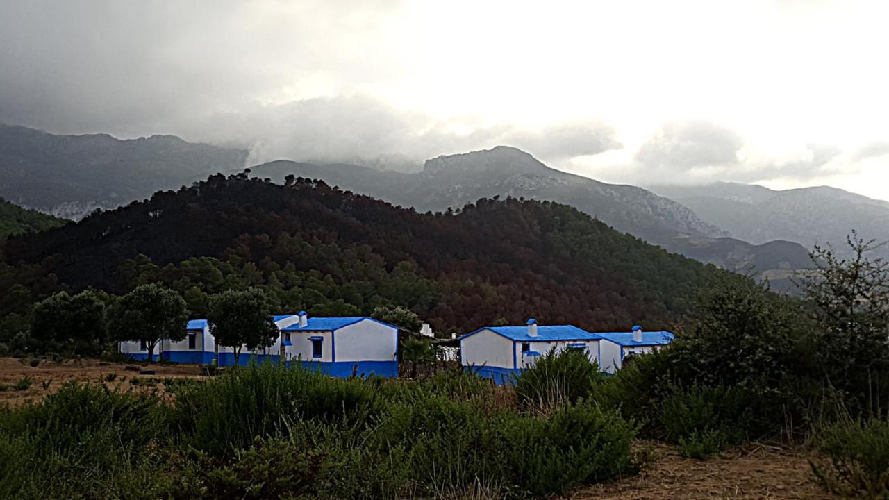 Ferma Jebala Ecolodge Kitane 외부 사진